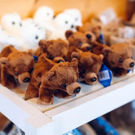 Moekit & Feriepark Peurasuvanto